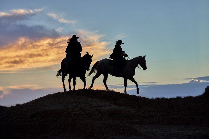 The Living Cowboy